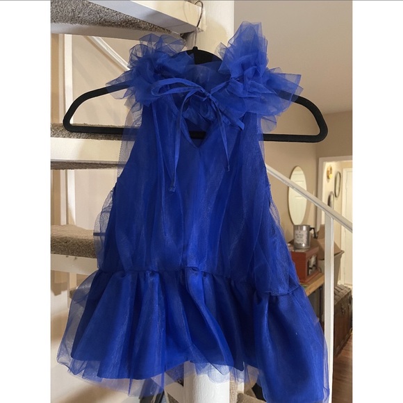 COPY - NWT Zara VOLUMINOUS TULLE TOP - Picture 8 of 8